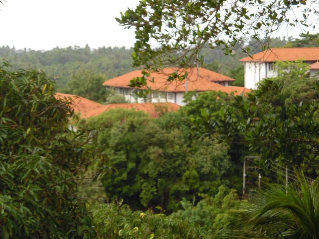 Mount View Villa Resort Mirissa Exterior foto