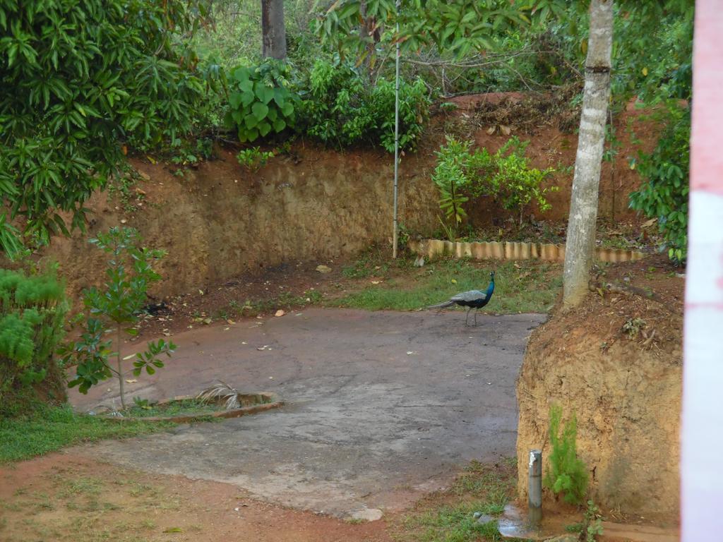 Mount View Villa Resort Mirissa Exterior foto