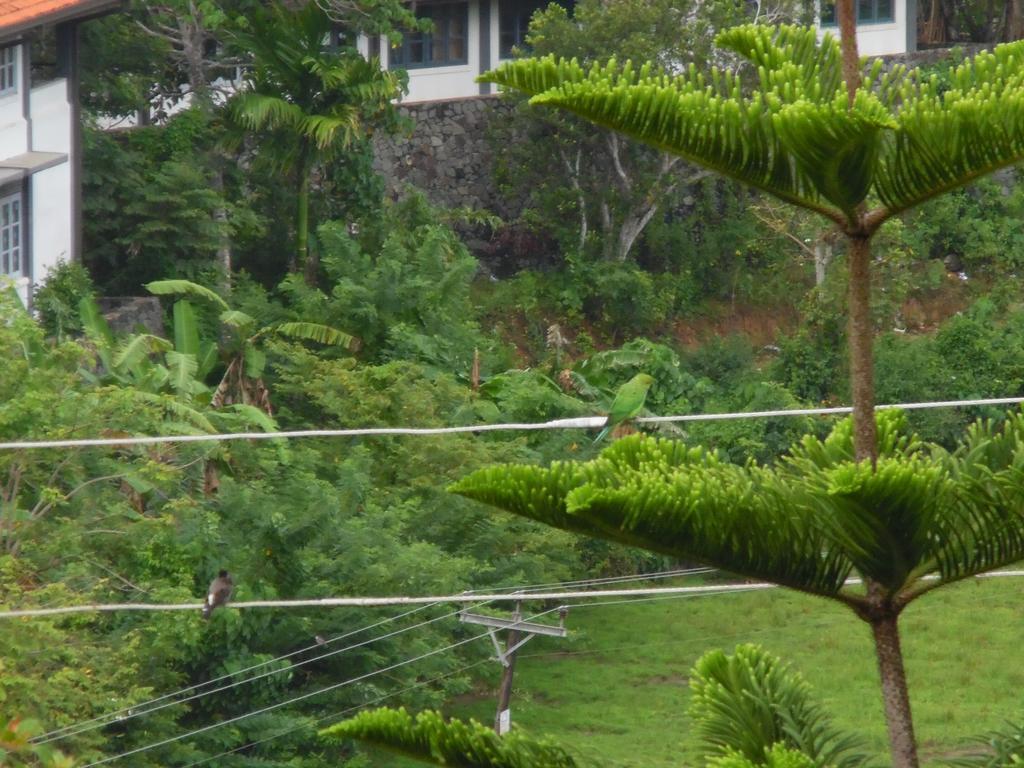 Mount View Villa Resort Mirissa Exterior foto